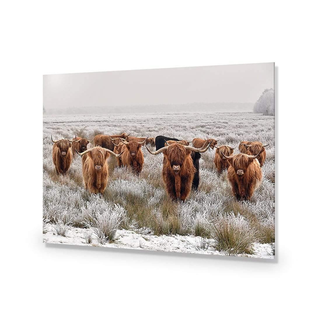 Herd of Highlanders - Wall Art Designs - 4085_AR_H CAF_AP - 030 - EDG_45x30_NONE