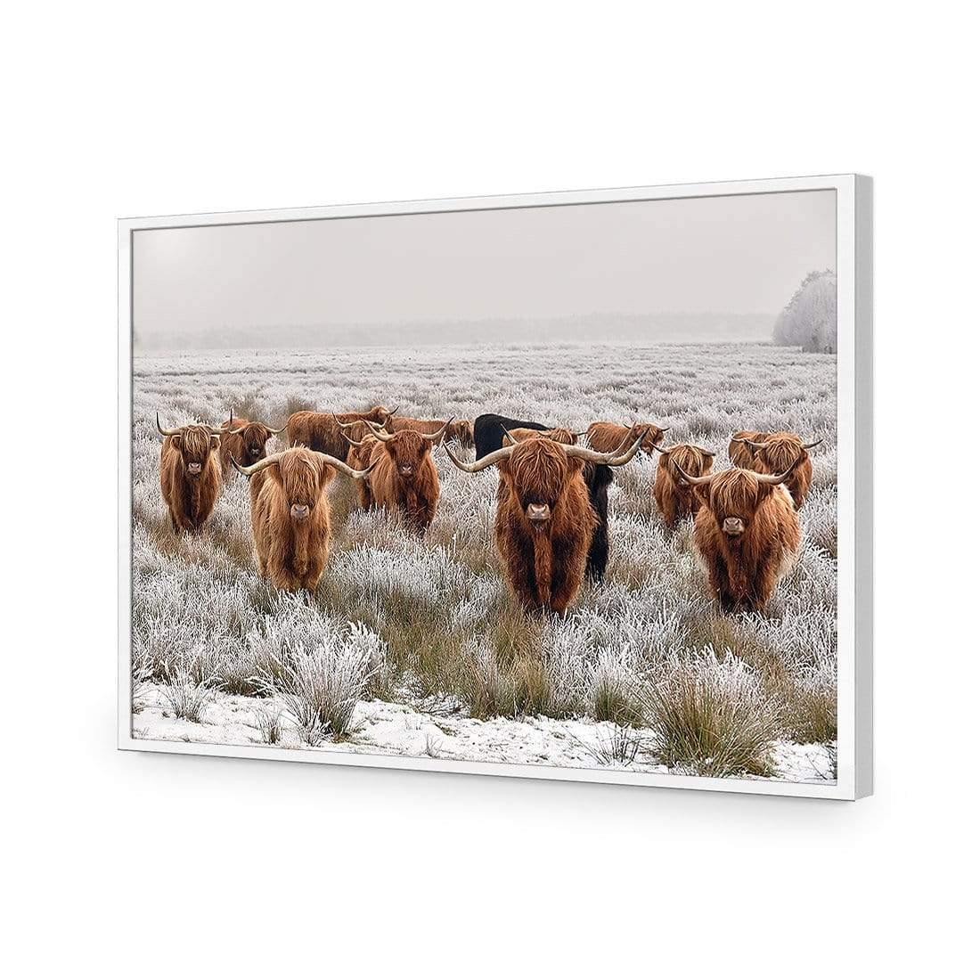 Herd of Highlanders - Wall Art Designs - 4085_AR_H CAF_AP - 030 - EDG_45x30_S - 2538 - WHT