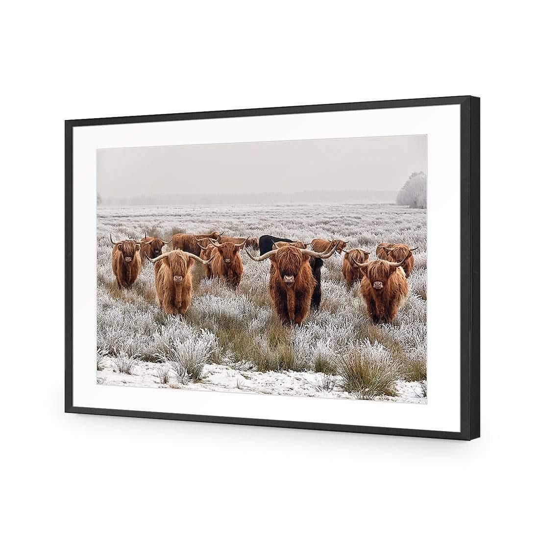 Herd of Highlanders - Wall Art Designs - 4085_AR_H CAF_AP - 030 - MAT_45x30_S - 2538 - BLK