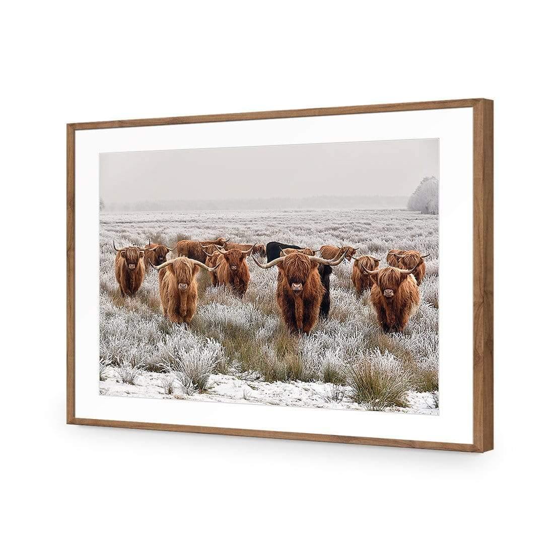 Herd of Highlanders - Wall Art Designs - 4085_AR_H CAF_AP - 030 - MAT_45x30_S - 2538 - NAT