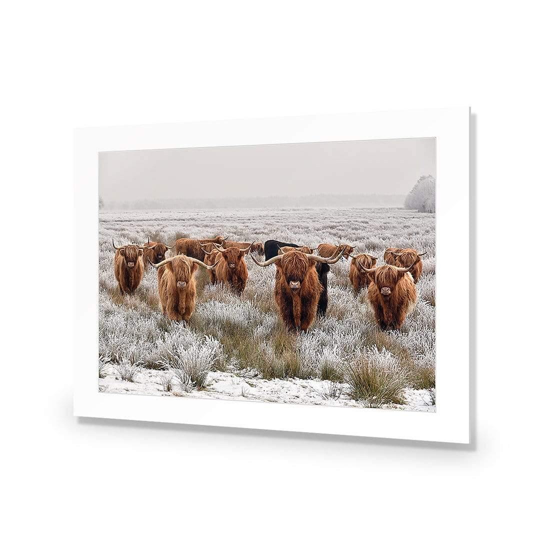 Herd of Highlanders - Wall Art Designs - 4085_AR_H CAF_AP - 030 - MAT_45x30_NONE