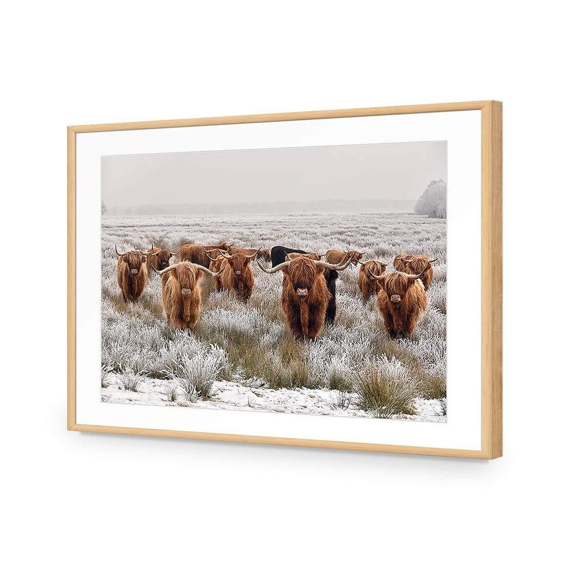 Herd of Highlanders - Wall Art Designs - 4085_AR_H CAF_AP - 030 - MAT_45x30_S - 2538 - OAK