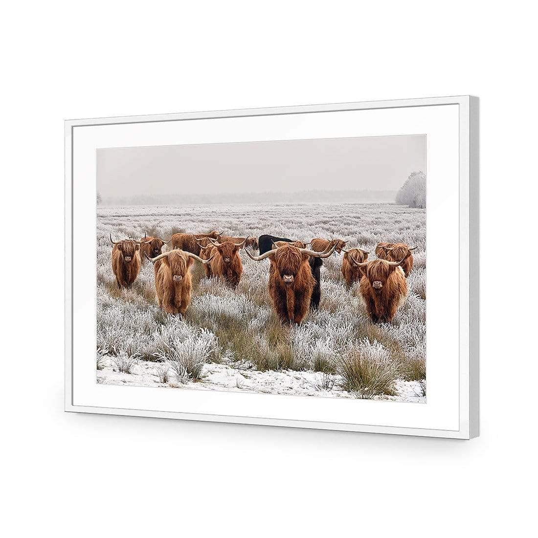 Herd of Highlanders - Wall Art Designs - 4085_AR_H CAF_AP - 030 - MAT_45x30_S - 2538 - WHT