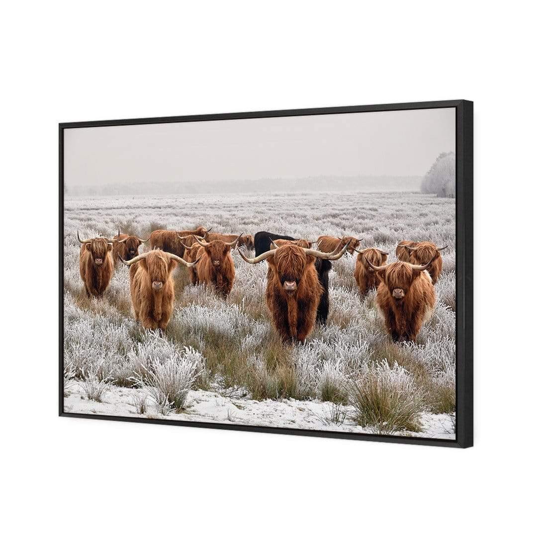 Herd of Highlanders - Wall Art Designs - 4085_AR_H CAF_CP - MPY - 260 - M - S - S_45x30_S - 1550 - BLK