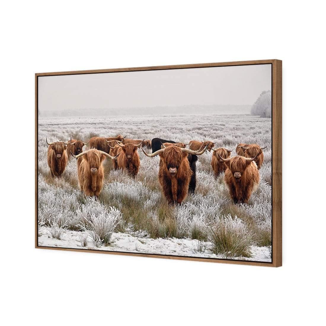 Herd of Highlanders - Wall Art Designs - 4085_AR_H CAF_CP - MPY - 260 - M - S - S_45x30_S - 1550 - NAT