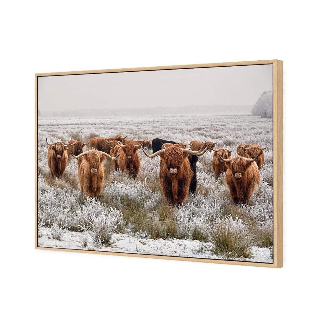 Herd of Highlanders - Wall Art Designs - 4085_AR_H CAF_CP - MPY - 260 - M - S - S_45x30_S - 1550 - OAK