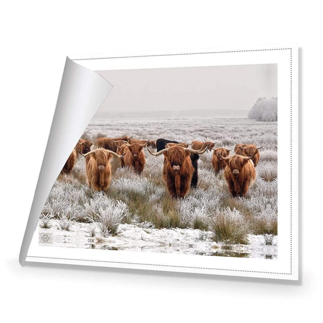 Herd of Highlanders - Wall Art Designs - 4085_AR_H CAF_CP - MPY - 260 - M - R_45x30_NONE