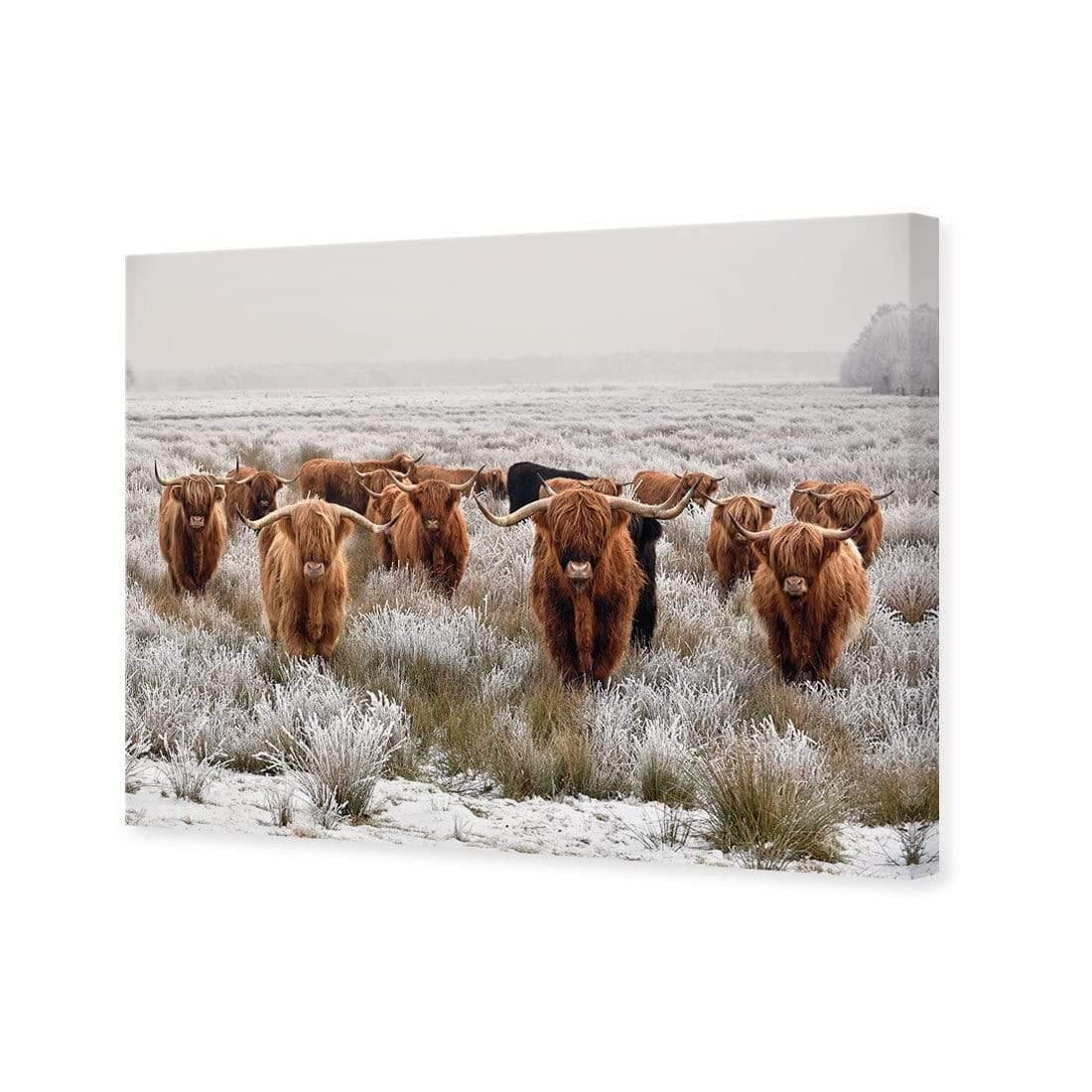 Herd of Highlanders - Wall Art Designs - 4085_AR_H CAF_CP - MPY - 260 - M - S - S_45x30_NONE