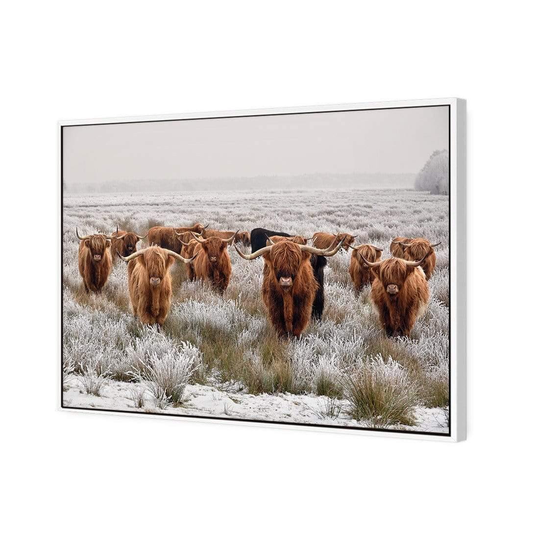 Herd of Highlanders - Wall Art Designs - 4085_AR_H CAF_CP - MPY - 260 - M - S - S_45x30_S - 1550 - WHT