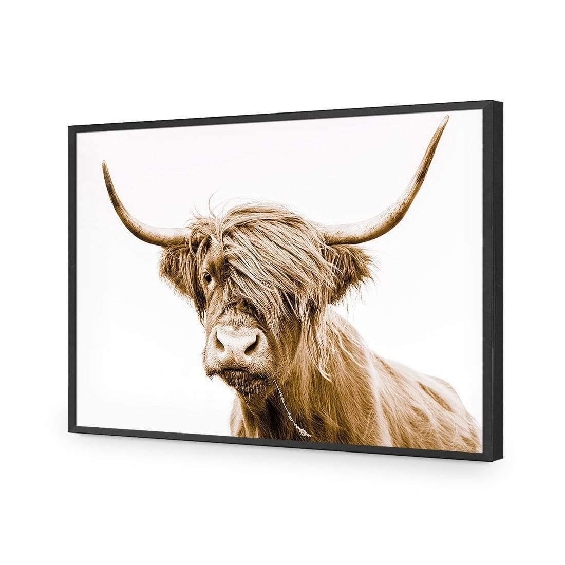 Highland Fringe - Wall Art Designs - AU_1027_AR_H CAF_AP - 030 - EDG_45x30_S - 2538 - BLK