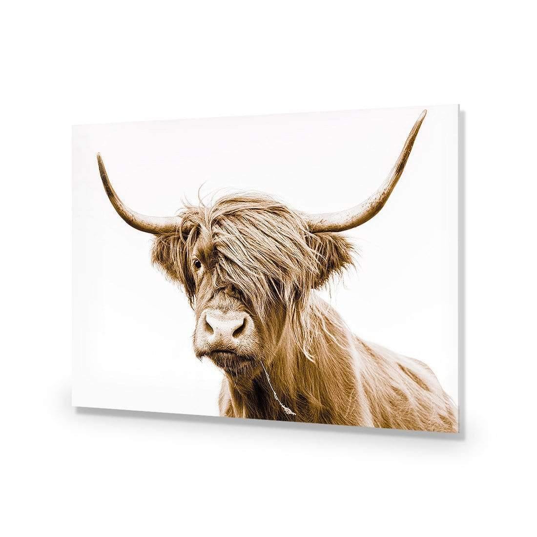 Highland Fringe - Wall Art Designs - AU_1027_AR_H CAF_AP - 030 - EDG_45x30_NONE