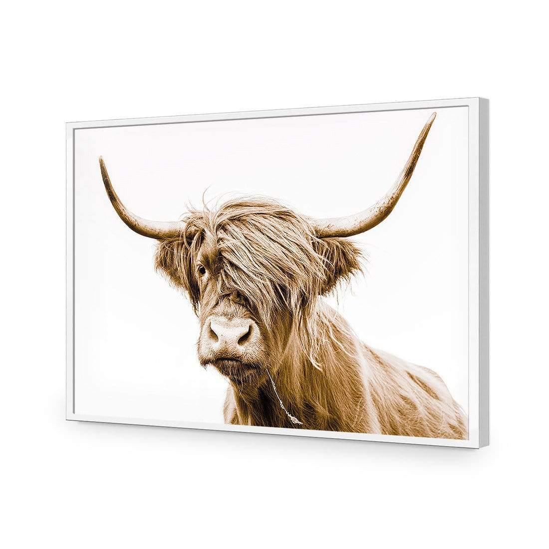 Highland Fringe - Wall Art Designs - AU_1027_AR_H CAF_AP - 030 - EDG_45x30_S - 2538 - WHT