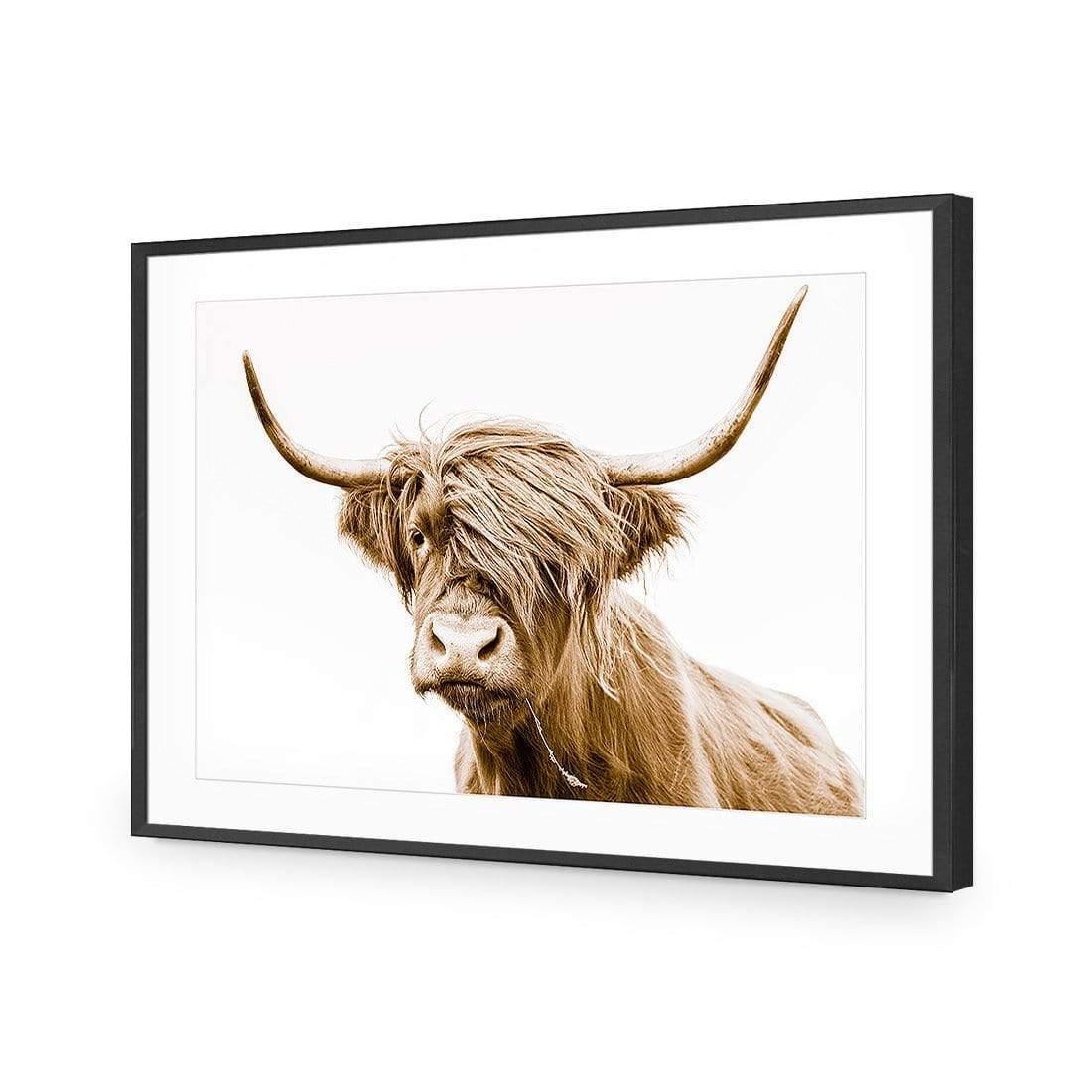 Highland Fringe - Wall Art Designs - AU_1027_AR_H CAF_AP - 030 - MAT_45x30_S - 2538 - BLK