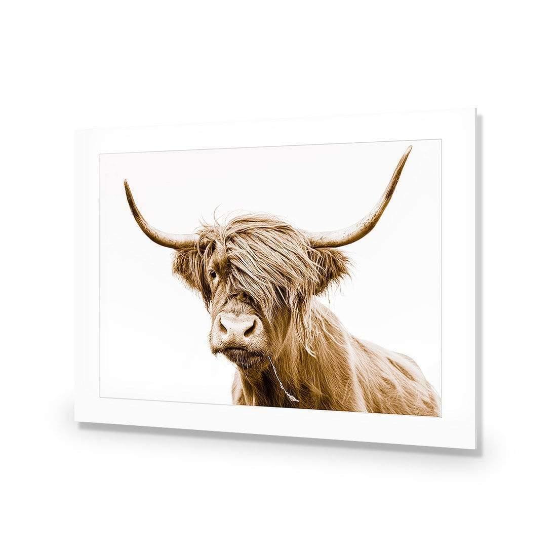 Highland Fringe - Wall Art Designs - AU_1027_AR_H CAF_AP - 030 - MAT_45x30_NONE