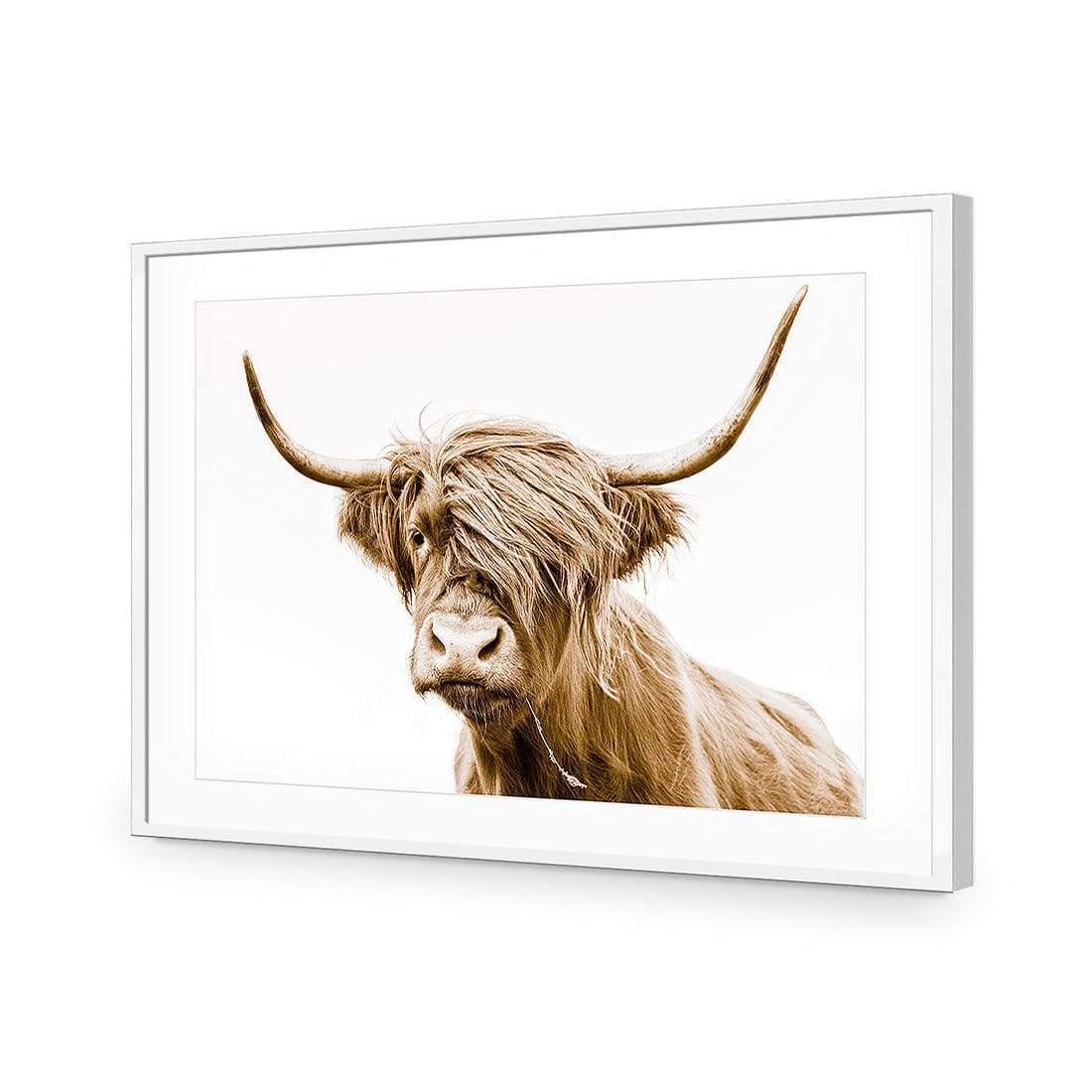 Highland Fringe - Wall Art Designs - AU_1027_AR_H CAF_AP - 030 - MAT_45x30_S - 2538 - WHT