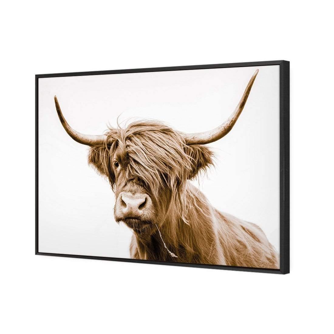 Highland Fringe - Wall Art Designs - AU_1027_AR_H CAF_CP - MPY - 260 - M - S - S_45x30_S - 1550 - BLK