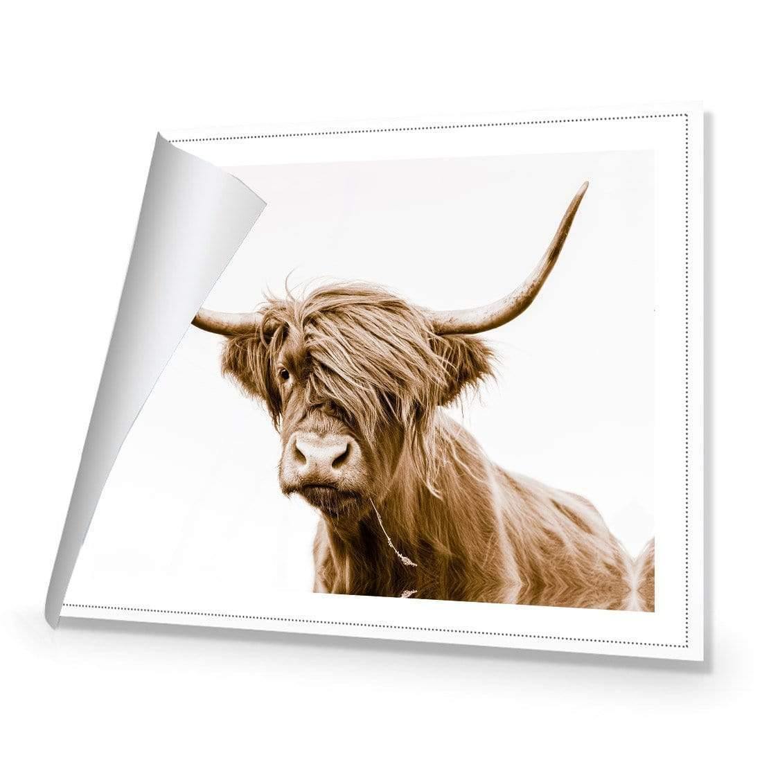 Highland Fringe - Wall Art Designs - AU_1027_AR_H CAF_CP - MPY - 260 - M - R_45x30_NONE