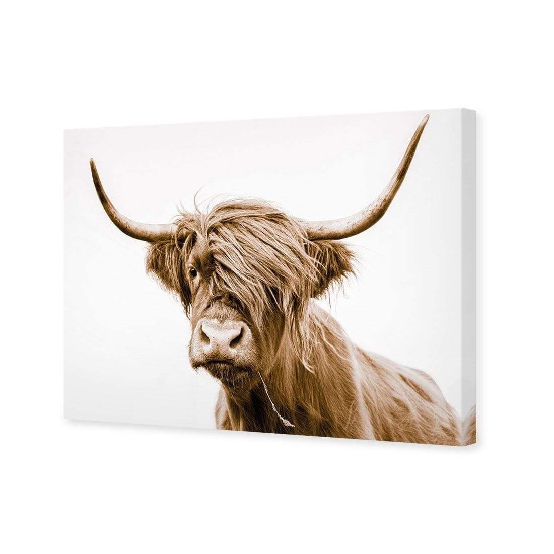 Highland Fringe - Wall Art Designs - AU_1027_AR_H CAF_CP - MPY - 260 - M - S - S_45x30_NONE