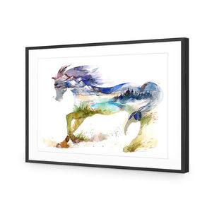 Horse Dreaming | Standard Acrylic | Flat Frame With Border | Black