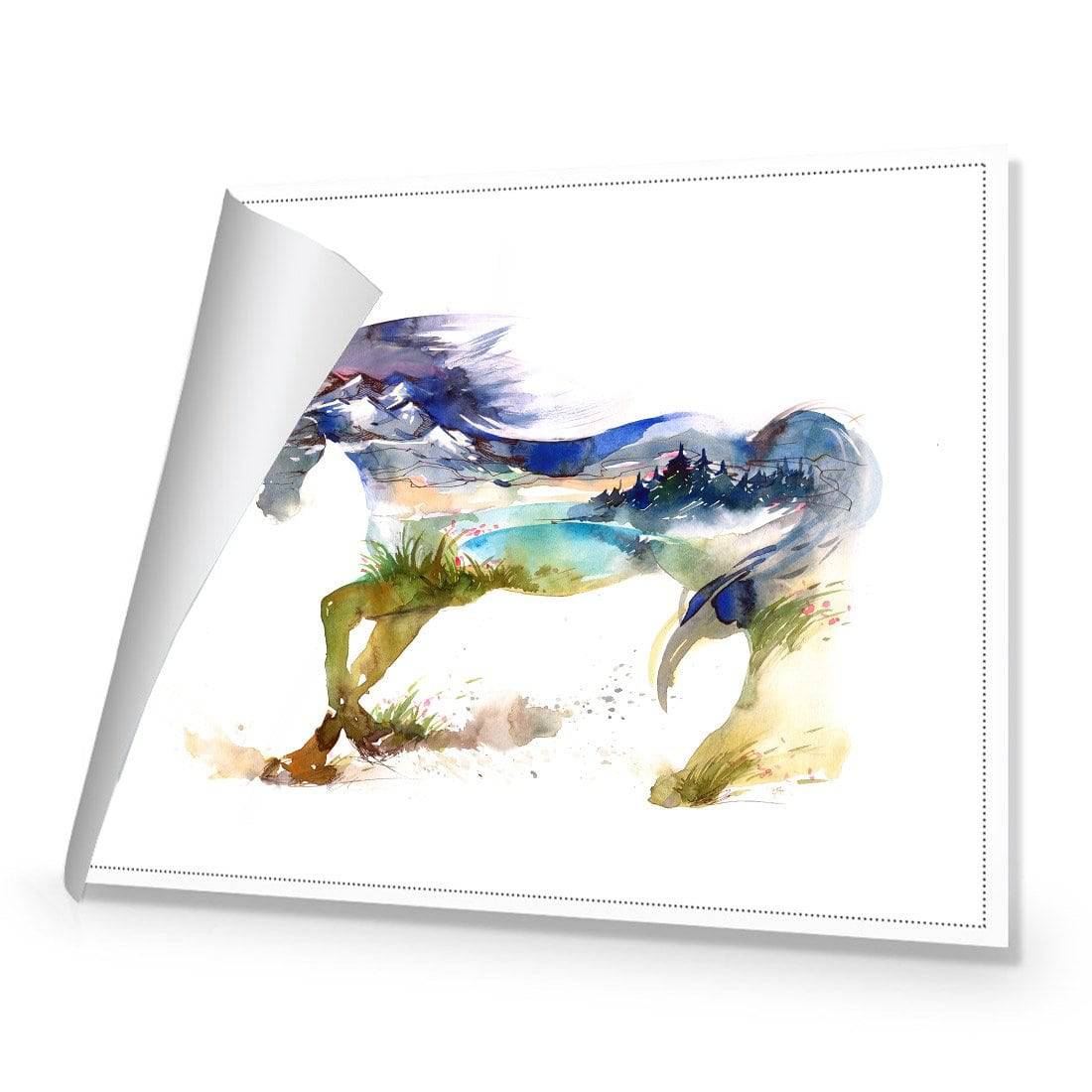 Horse Dreaming | Standard Canvas | No Frame | Rolled Canvas
