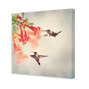Hummingbird Hover | Classic Canvas | No Frame | Stretched Canvas