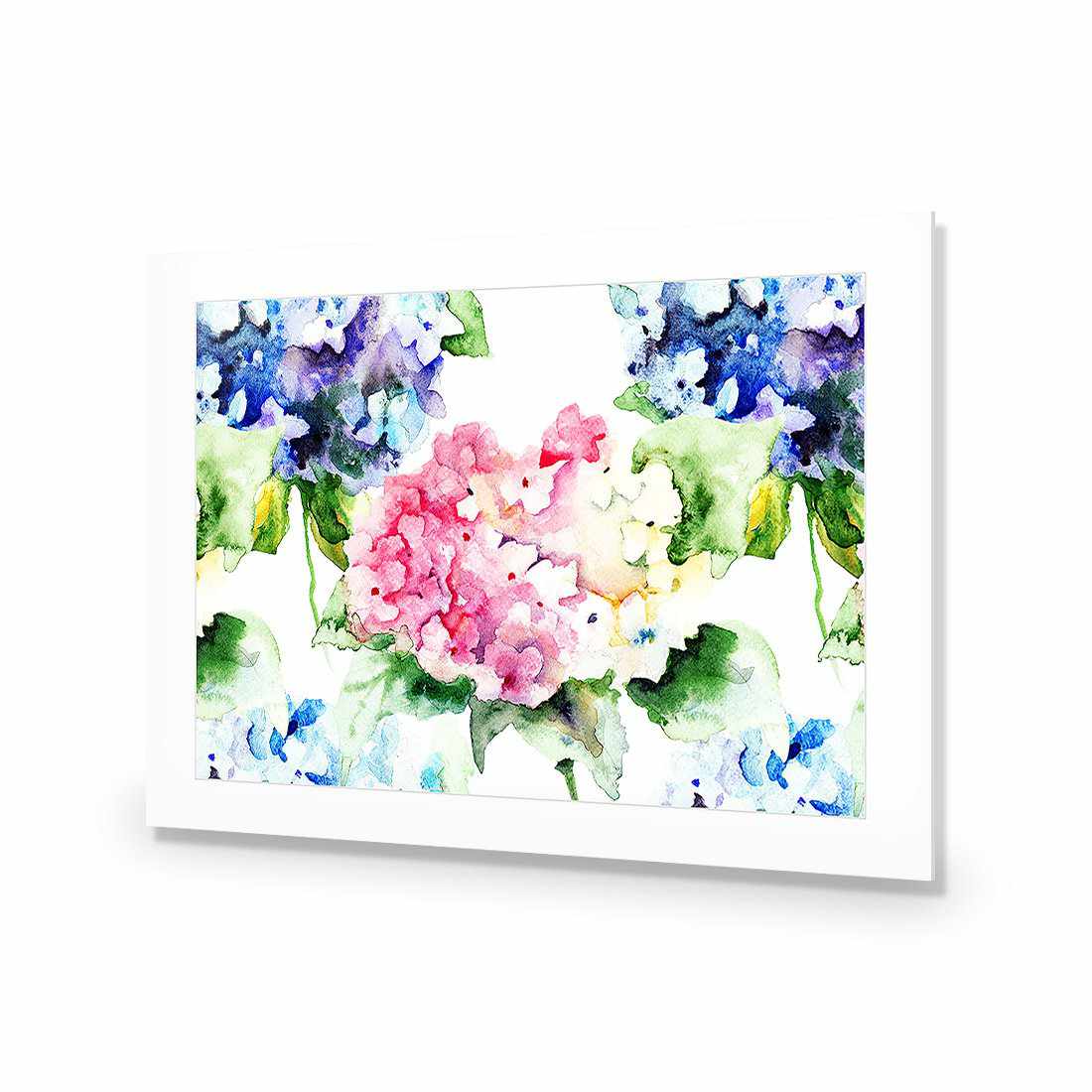 Hydrangeas | Standard Acrylic | No Frame With Border