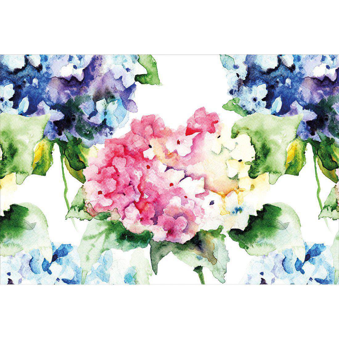 Hydrangeas