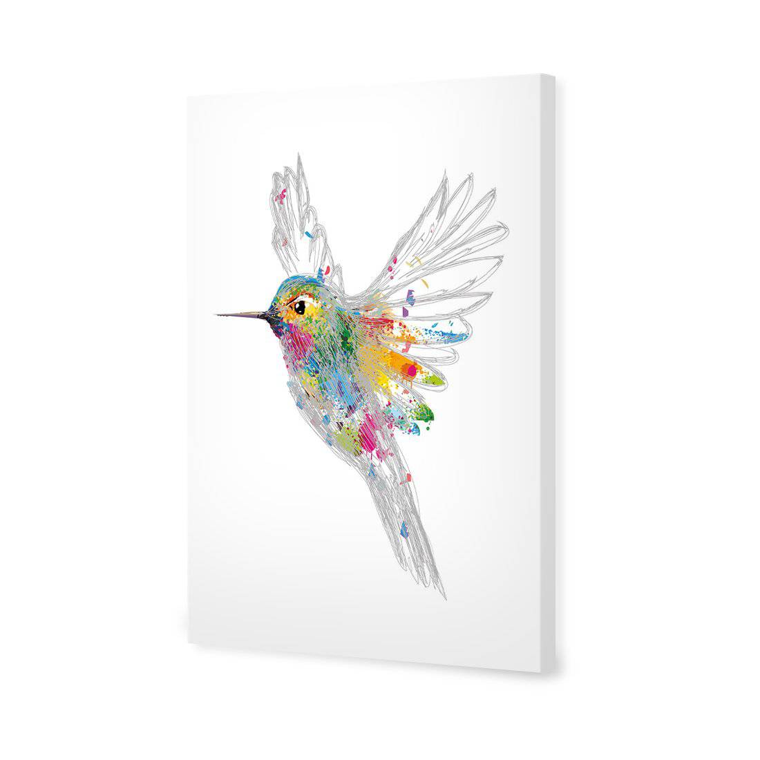 Imagination in Flight | Standard Canvas | No Frame | Stretched Canvas