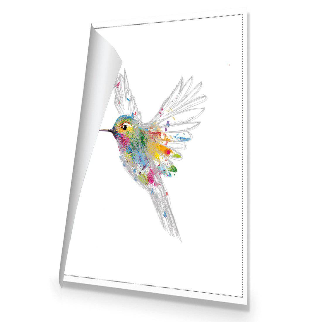 Imagination in Flight | Standard Canvas | No Frame | Rolled Canvas