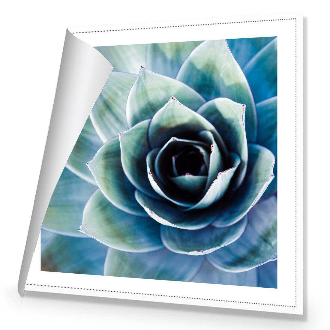 Intense Cactus | Standard Canvas | No Frame | Rolled Canvas