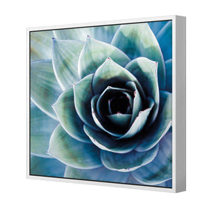Intense Cactus | Standard Canvas | Floating Frame | White