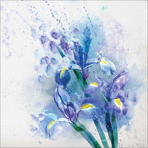 Iris Rain