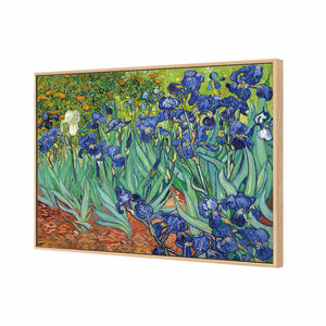Irises 2 by Van Gogh | Standard Canvas | Floating Frame | Oak