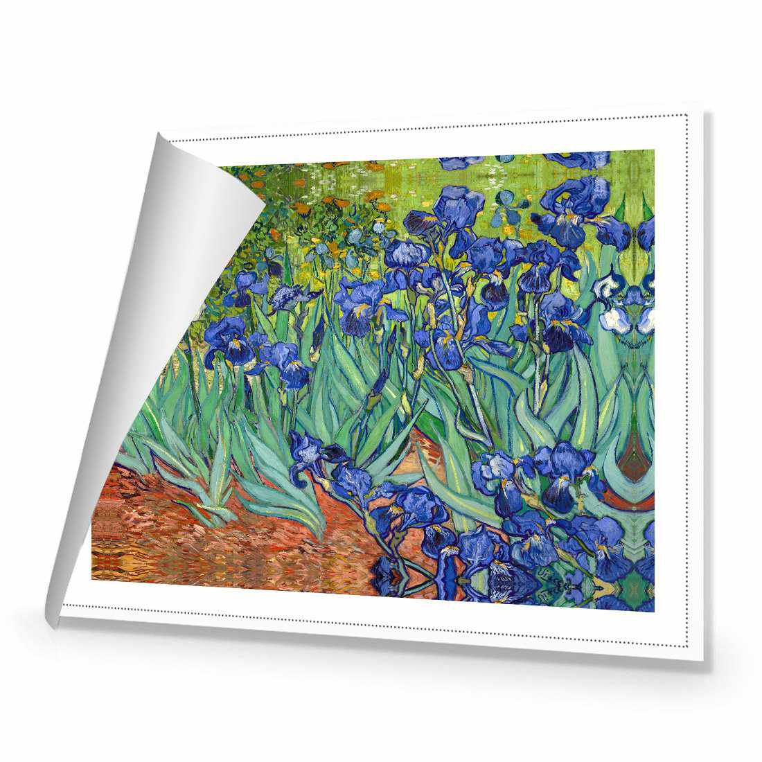 Irises 2 by Van Gogh | Standard Canvas | No Frame | Rolled Canvas