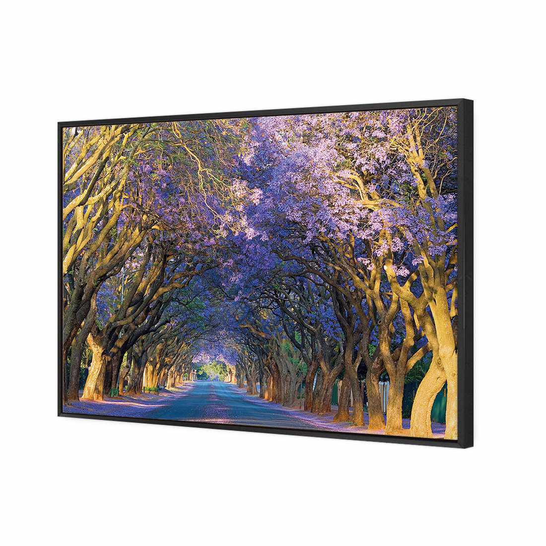 Jacaranda Alley | Standard Canvas | Floating Frame | Black