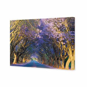 Jacaranda Alley | Standard Canvas | No Frame | Stretched Canvas