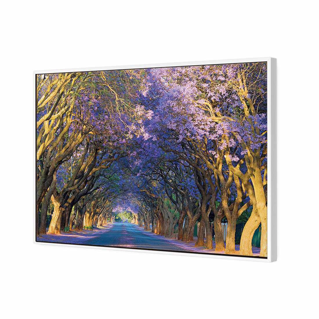 Jacaranda Alley | Standard Canvas | Floating Frame | White