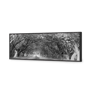 Jacaranda Alley, Long B&W | Classic Canvas | Floating Frame | Black
