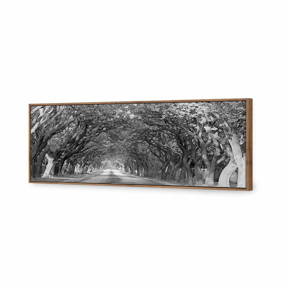 Jacaranda Alley, Long B&W | Classic Canvas | Floating Frame | Natural