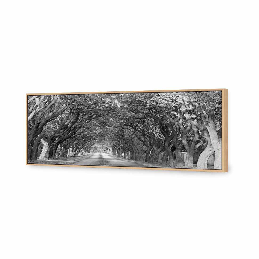 Jacaranda Alley, Long B&W | Classic Canvas | Floating Frame | Oak