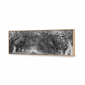 Jacaranda Alley, Long B&W | Classic Canvas | Floating Frame | Oak