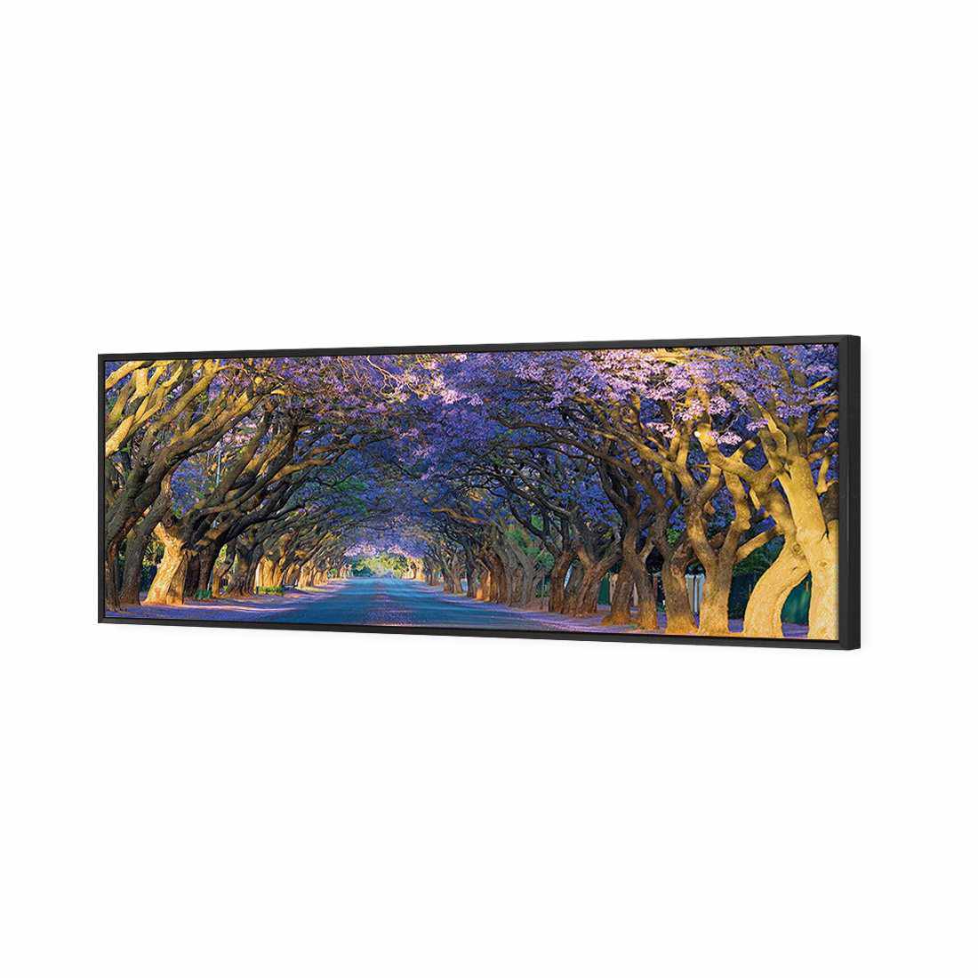 Jacaranda Alley, Long Canvas Art - Wall Art Designs - 1747_AL_H WAD_CP - MPY - 260 - M - S - S_60x20_S - 1550 - BLK