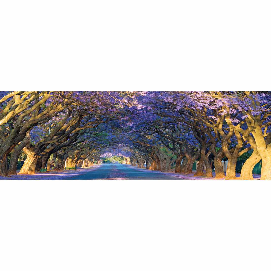 Jacaranda Alley, Long Canvas Art - Wall Art Designs - 1747_AL_H WAD_CP - MPY - 260 - M - S - S_60x20_NONE