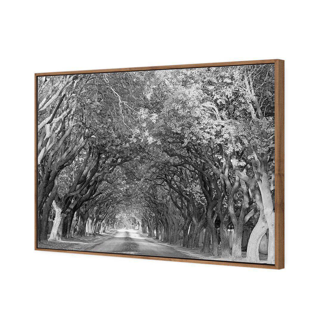 Jacaranda Alley, Rectangle B&W Canvas Art - Wall Art Designs - 1747_BR_H WAD_CP - MPY - 260 - M - S - S_45x30_S - 1550 - NAT