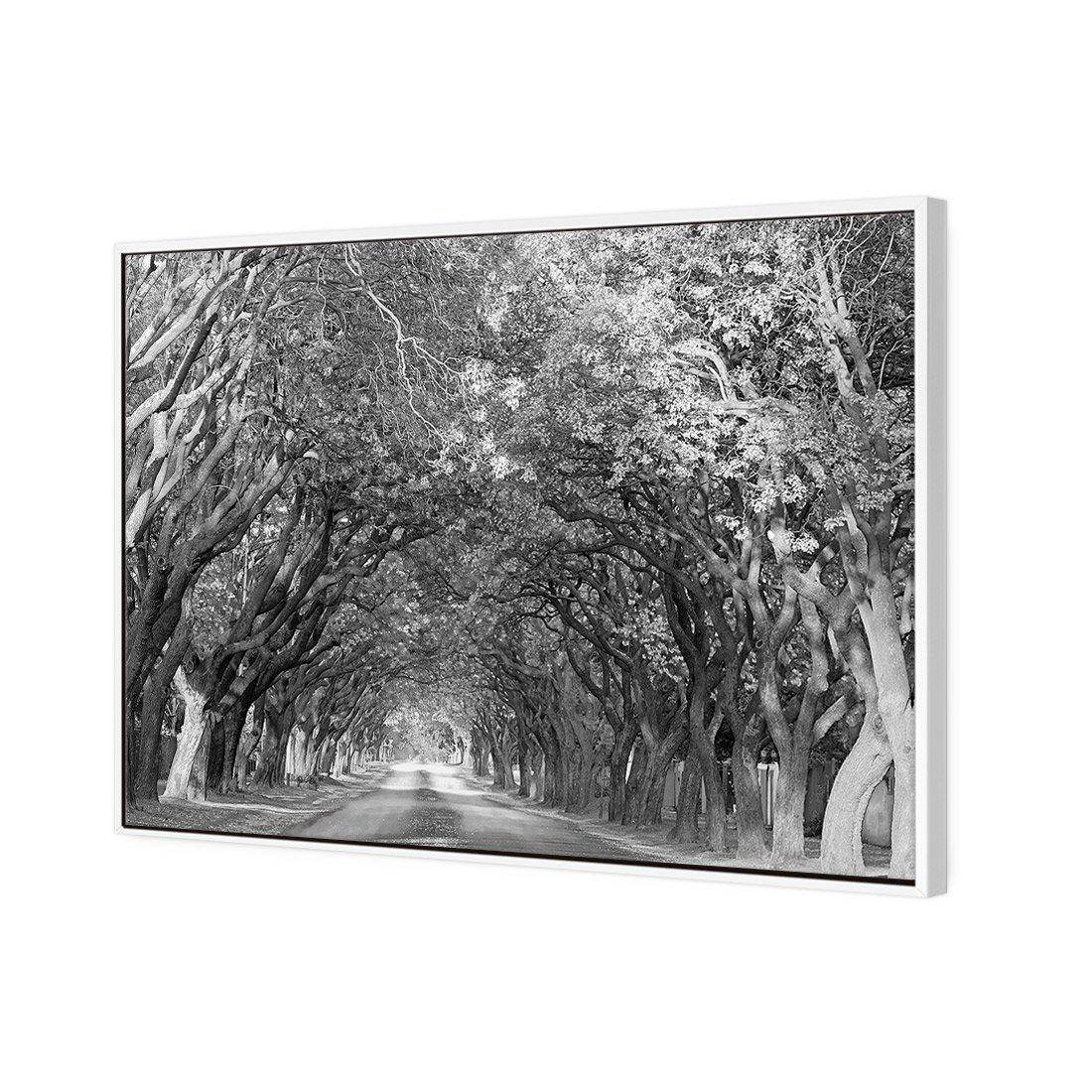 Jacaranda Alley, Rectangle B&W | Standard Canvas | Floating Frame | White