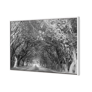 Jacaranda Alley, Rectangle B&W | Standard Canvas | Floating Frame | White