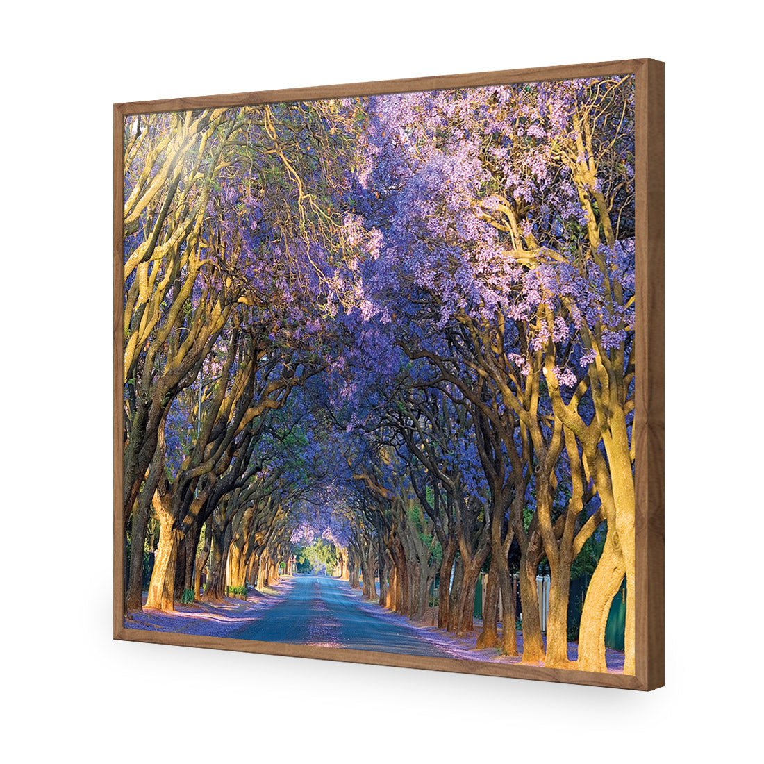 Jacaranda Alley (square) - Wall Art Designs - 1747_AS_Q WAD_AP - 030 - EDG_37x37_S - 2538 - NAT