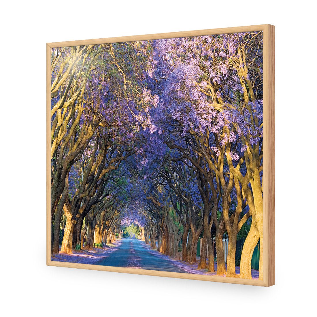 Jacaranda Alley (square) - Wall Art Designs - 1747_AS_Q WAD_AP - 030 - EDG_37x37_S - 2538 - OAK