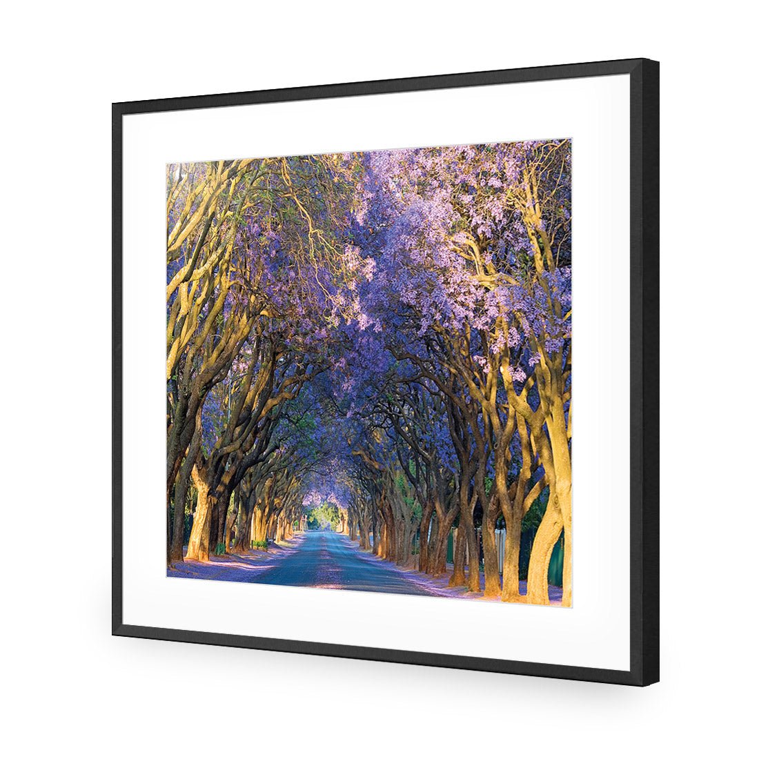 Jacaranda Alley (square) - Wall Art Designs - 1747_AS_Q WAD_AP - 030 - MAT_37x37_S - 2538 - BLK