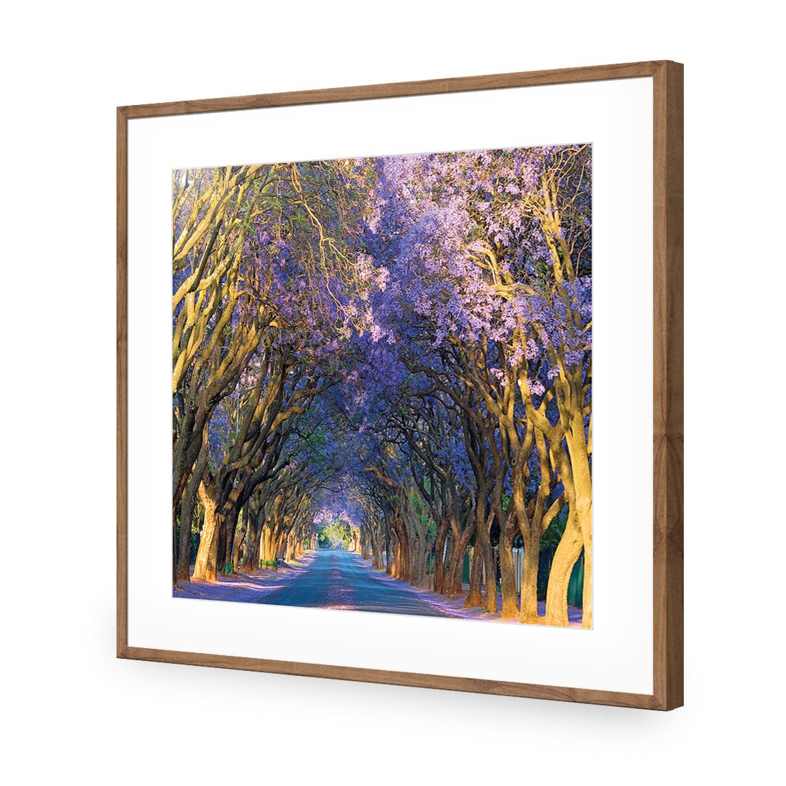 Jacaranda Alley (square) - Wall Art Designs - 1747_AS_Q WAD_AP - 030 - MAT_37x37_S - 2538 - NAT